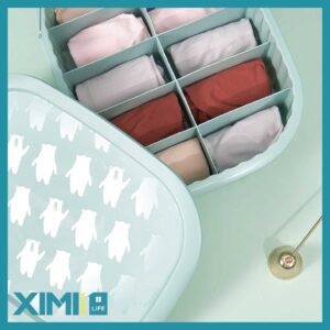 Underclothes Plastic Storage Bin with 10 Compartme