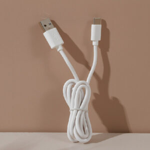 1 Meter Classic Type-C USB Cable 3A Fast Charging