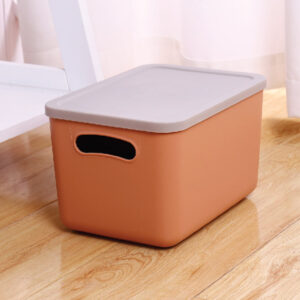 Morandi Series Small Storage Container with Lid and Handle