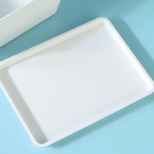 Small Plastic Storage Box with Lid (White)